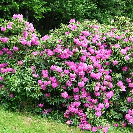 Ferienhaus Hollinger * Verditz