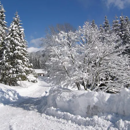 Apartmán Ferienhaus Hollinger Verditz