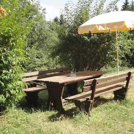 Apartment Ferienhaus Hollinger *