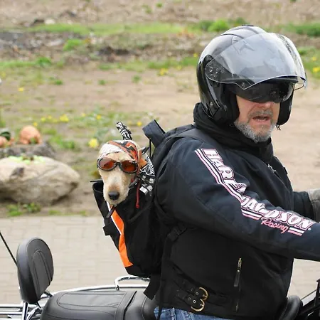 Ferienhaus Hollinger Apartmán Verditz