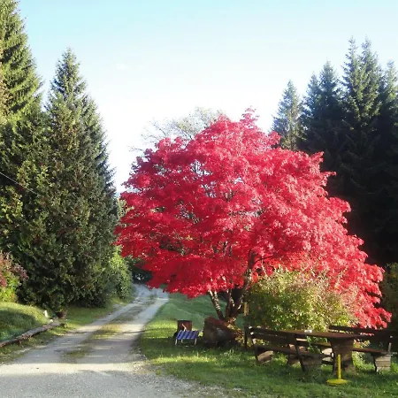 Ferienhaus Hollinger