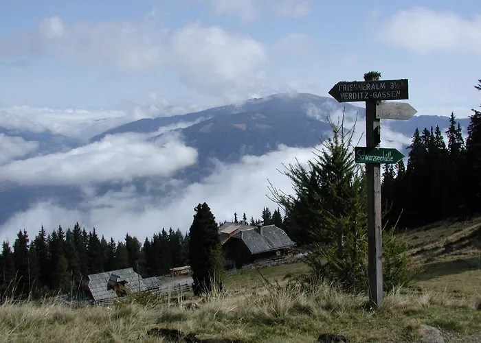Ferienhaus Hollinger Apartment