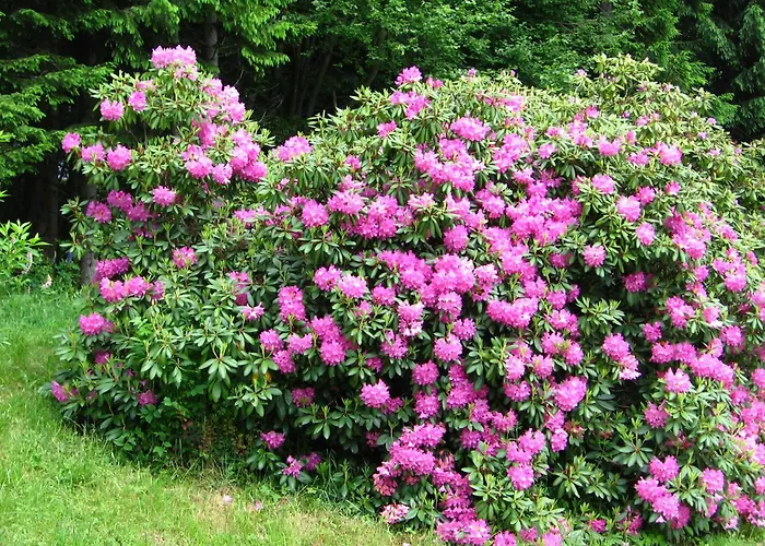 Ferienhaus Hollinger * Verditz