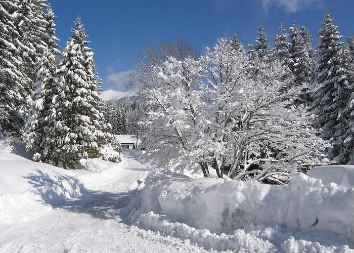 Apartment Ferienhaus Hollinger Verditz