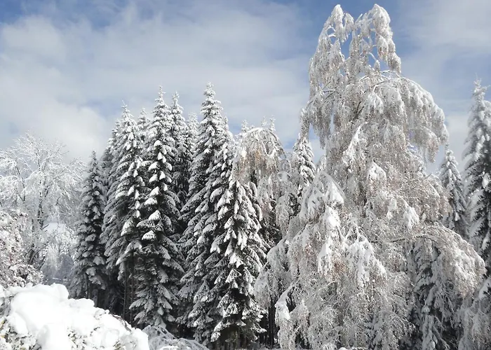 Ferienhaus Hollinger *