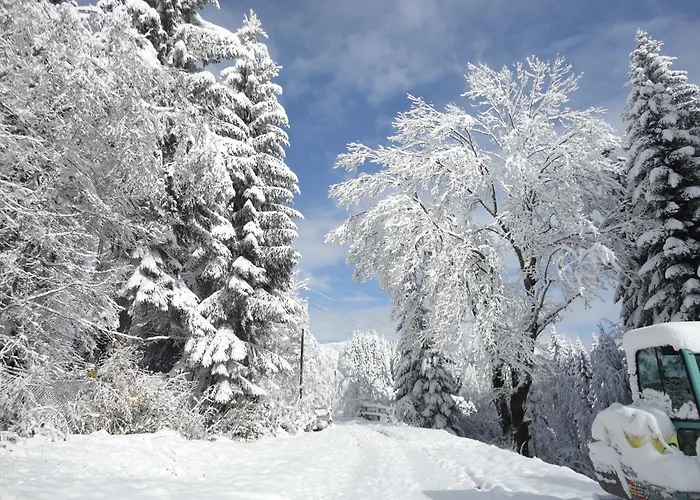 Ferienhaus Hollinger