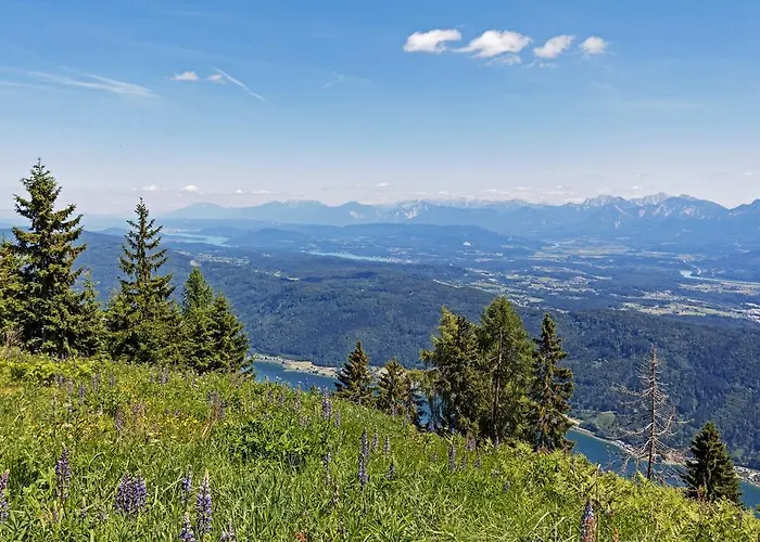 Apartment Ferienhaus Hollinger *