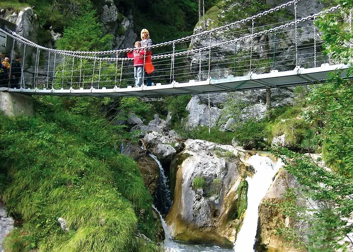 Apartment Ferienhaus Hollinger *