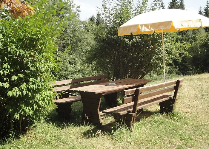 Apartment Ferienhaus Hollinger *