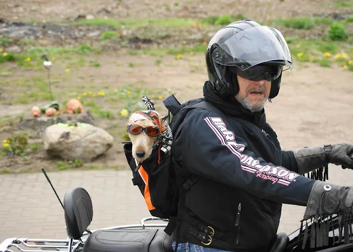 Ferienhaus Hollinger Apartment Verditz