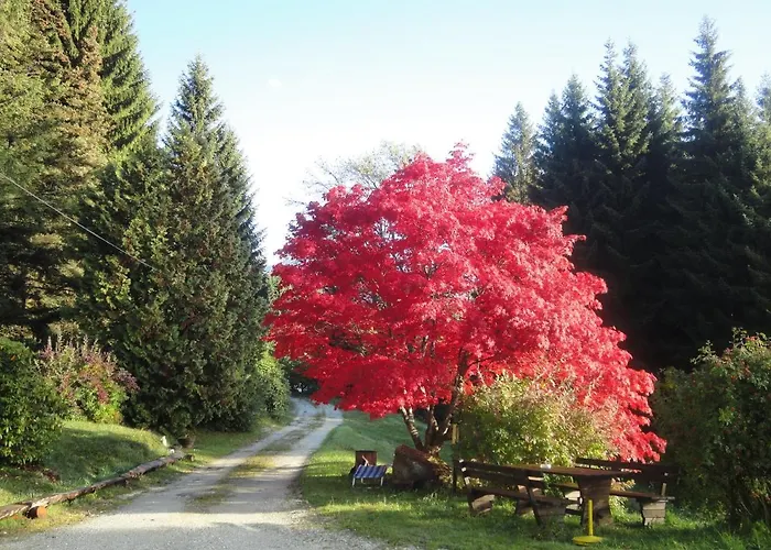 Ferienhaus Hollinger