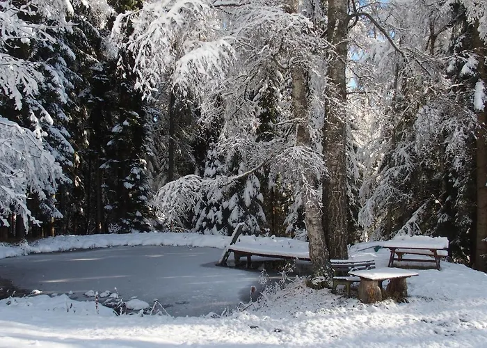 Ferienhaus Hollinger Apartment