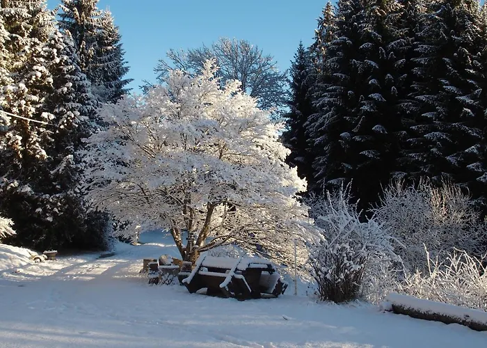 Ferienhaus Hollinger Apartment