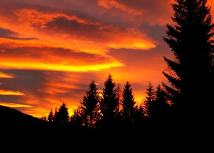 Apartment Ferienhaus Hollinger