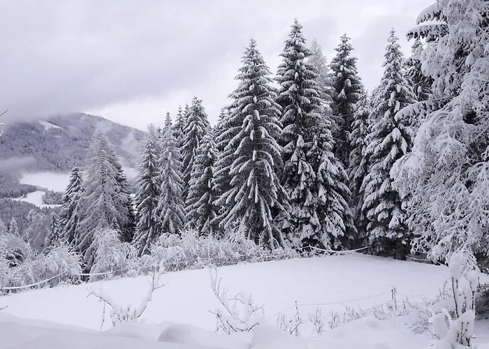 Ferienhaus Hollinger *